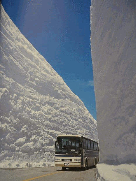 snowjapan1.gif